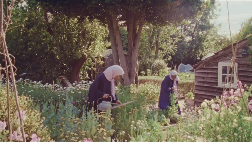 New on FVU Watch: Open Country (2025) by Amaal Said