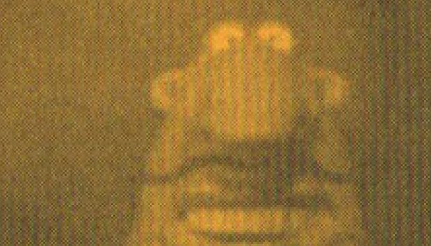 FVU Touring Thumbnail 14 1998