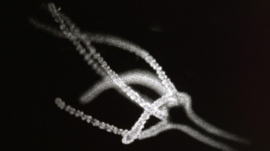 New on FVU Watch: Commons (2025) by David Blandy