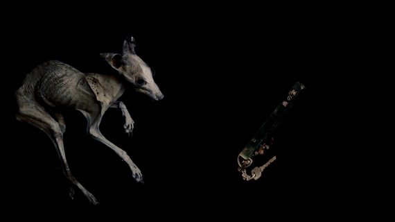 A Half Open Door by Laurence Scott