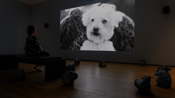 Patrick Goddard, Animal Antics, British Art Show 9
