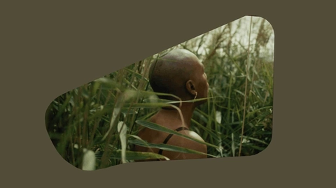 The Open Road: Sam Williams, The Eel's Tale (2025)