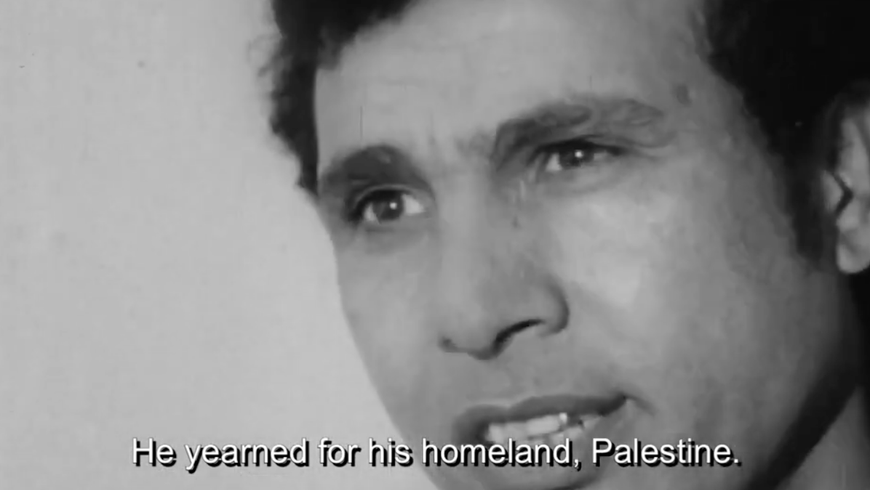 Looking at Palestine