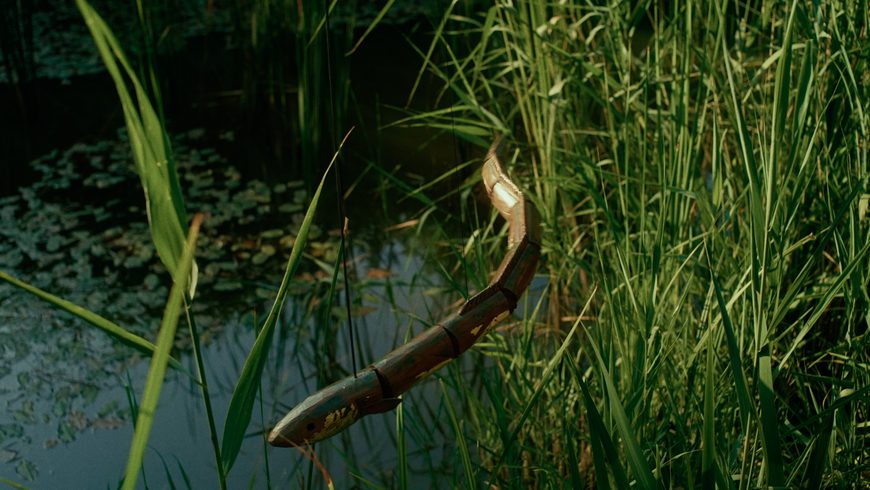 The Open Road: Pilgrimage as a Practice of Attention