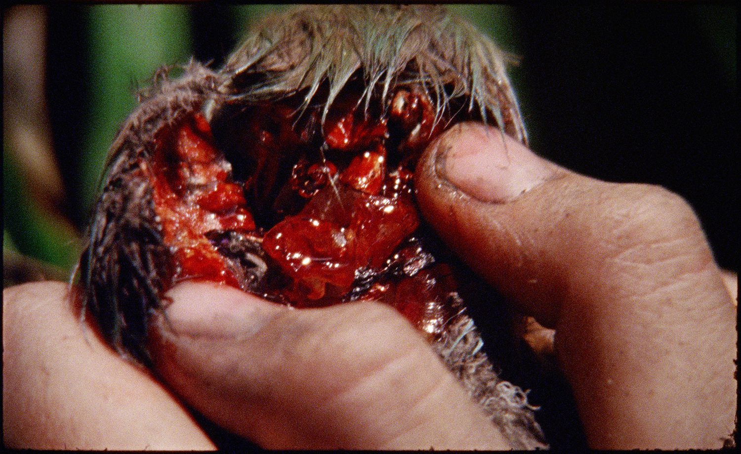 USE Marianna Simnett The Bird Game 2019 film still Courtesy the artist FVU the Rothschild Foundation and Frans Hals Museum