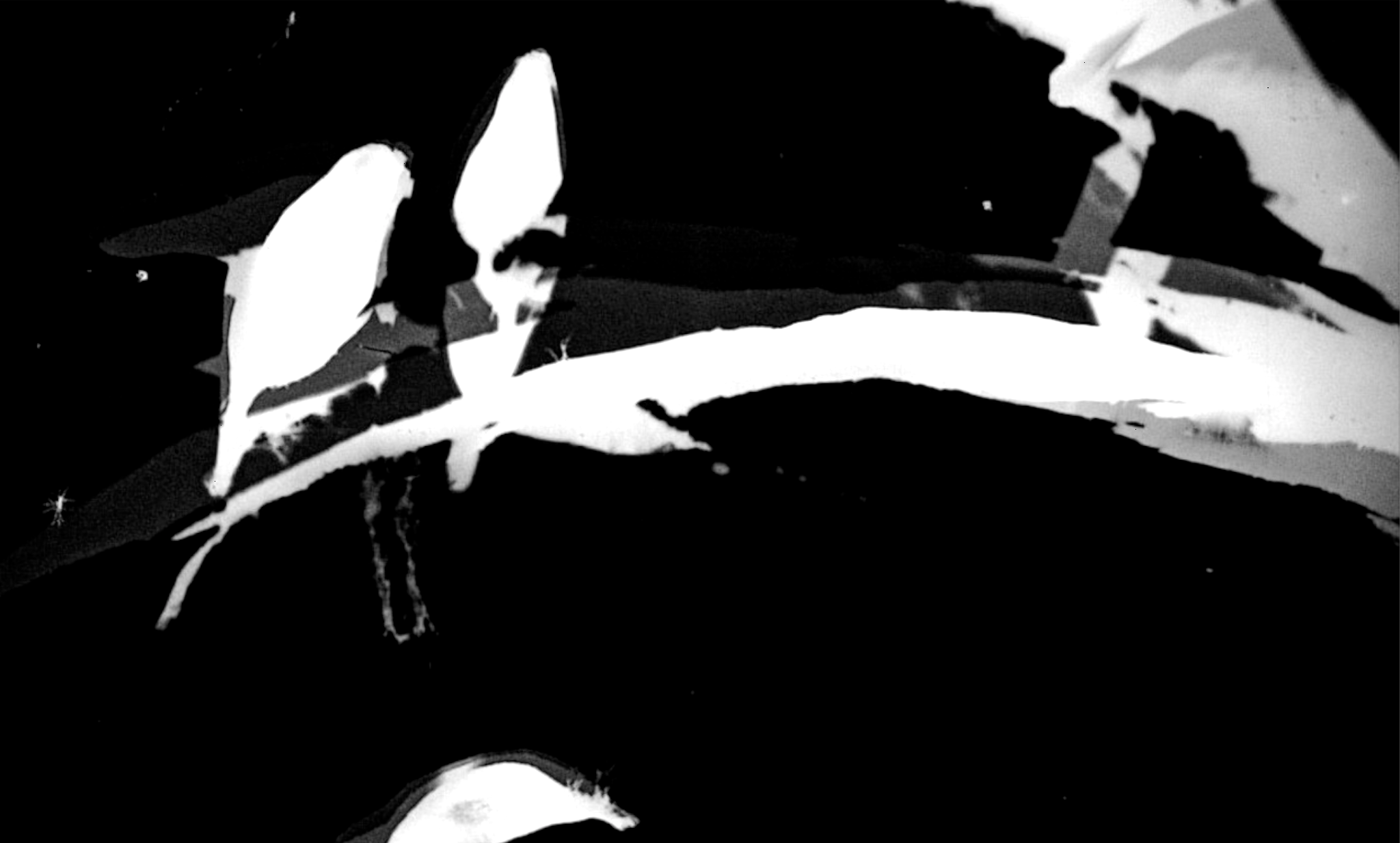 The great dog pan screenshot 20